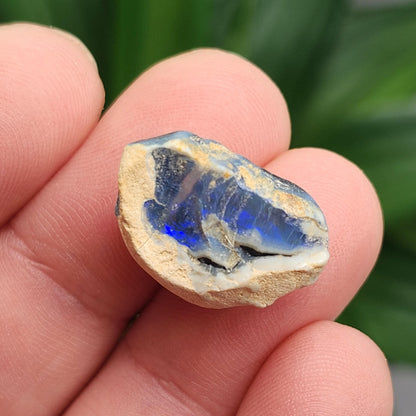 Lightning Ridge Black Opal 2.0g, Raw Australian Opal Stone Specimen