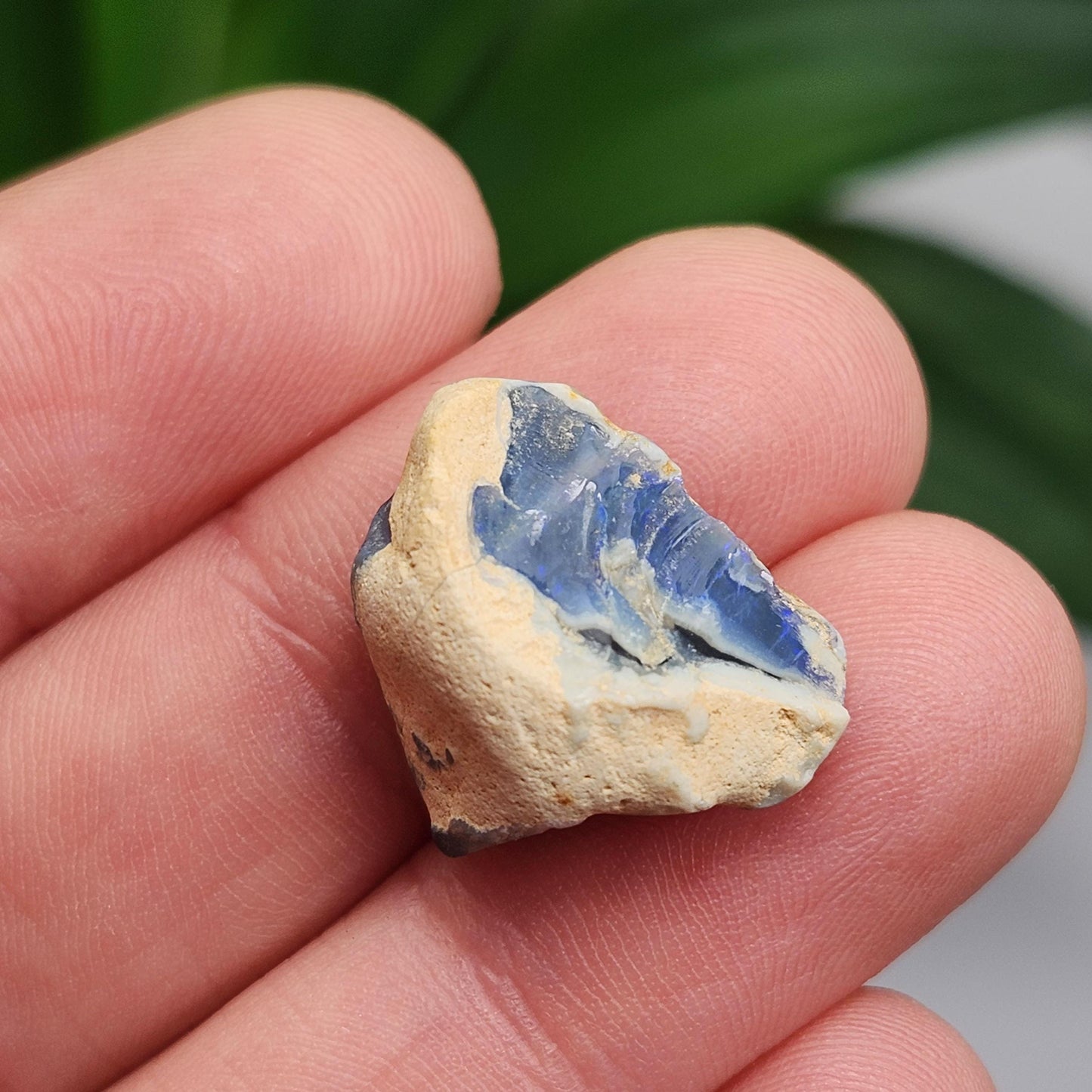 Lightning Ridge Black Opal 2.0g, Raw Australian Opal Stone Specimen