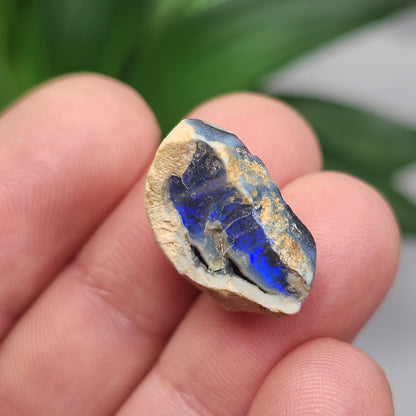 Lightning Ridge Black Opal 2.0g, Raw Australian Opal Stone Specimen