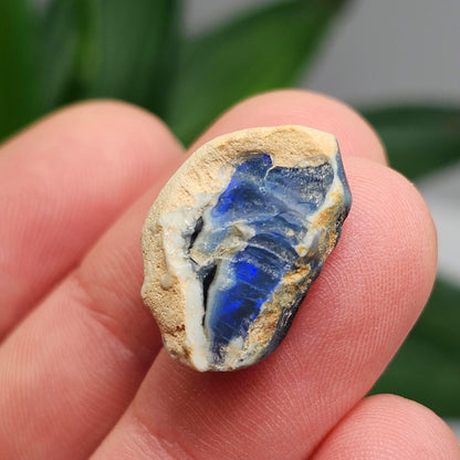 Lightning Ridge Black Opal 2.0g, Raw Australian Opal Stone Specimen