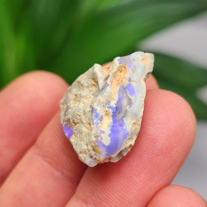Lightning Ridge Opal 2.8g, Australian Opal Crystal Specimen