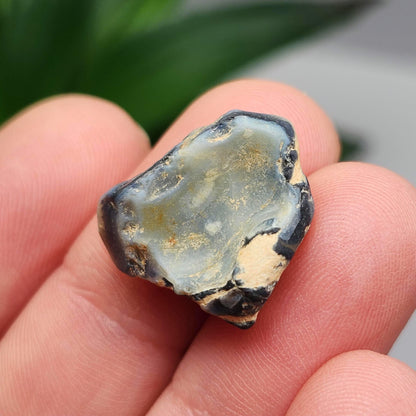 Lightning Ridge Black Opal 2.0g, Raw Australian Opal Stone Specimen