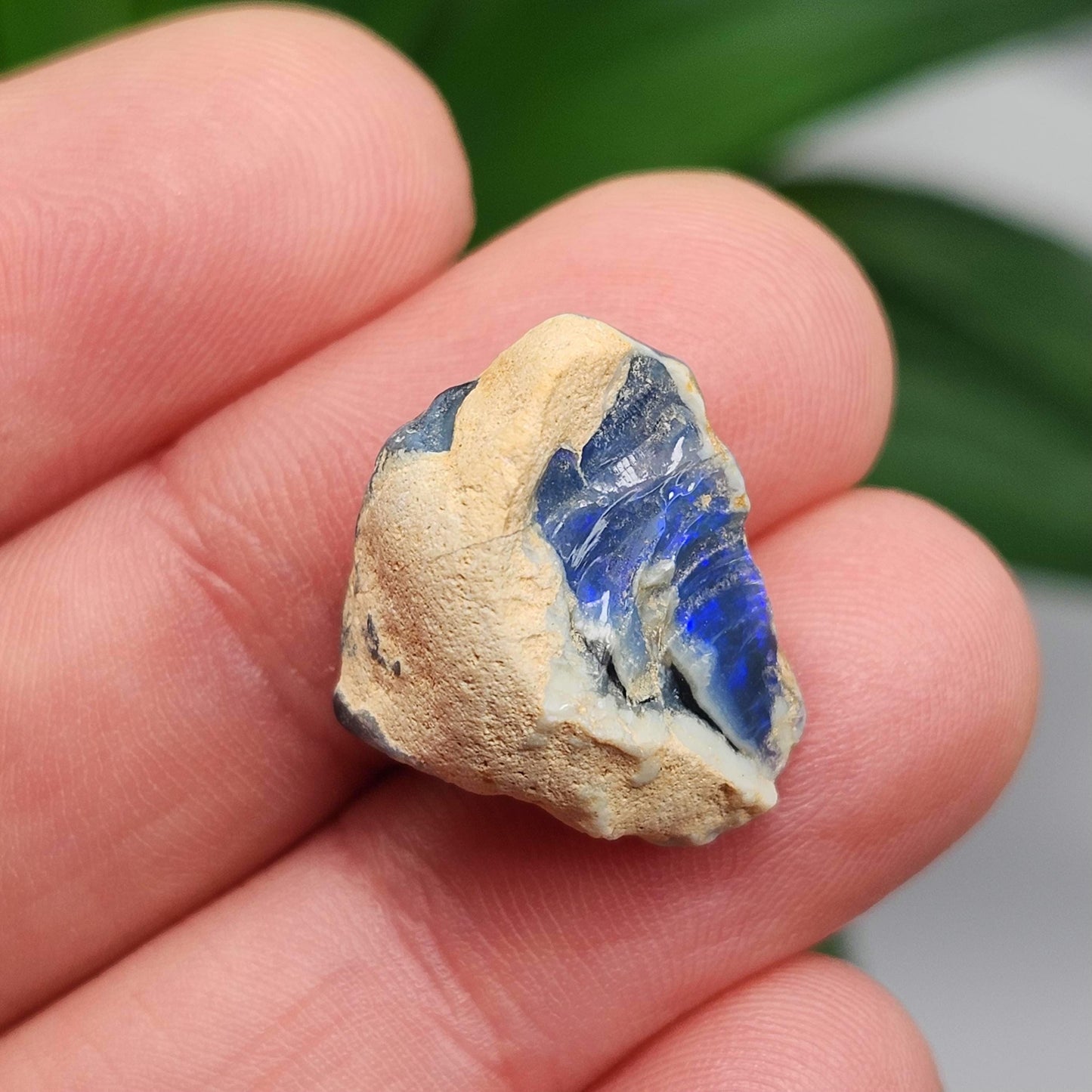 Lightning Ridge Black Opal 2.0g, Raw Australian Opal Stone Specimen