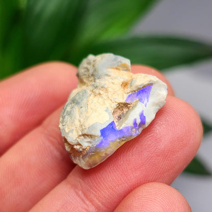 Australian Blue Opal from Lightning Ridge 2.83g, Opal Crystal Specimen from Australia