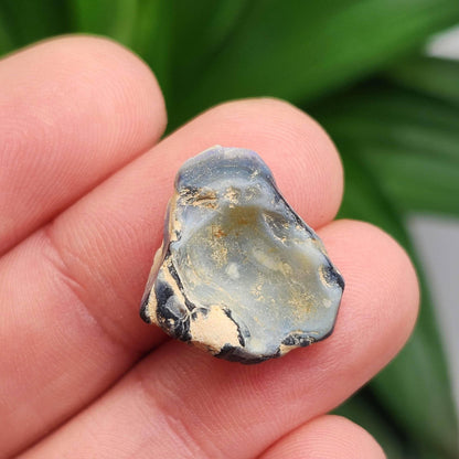 Lightning Ridge Black Opal 2.0g, Raw Australian Opal Stone Specimen