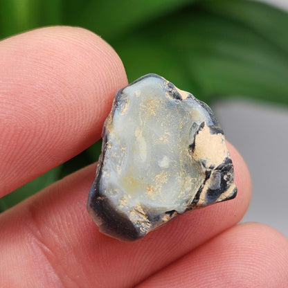 Lightning Ridge Black Opal 2.0g, Raw Australian Opal Stone Specimen