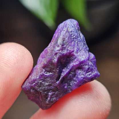Gel Sugilite & Blue Richterite Crystal 4.93g, South African Raw Sugilite Specimen OLD STOCK