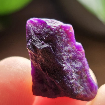 Gel Sugilite & Blue Richterite Crystal 4.93g, South African Raw Sugilite Specimen OLD STOCK