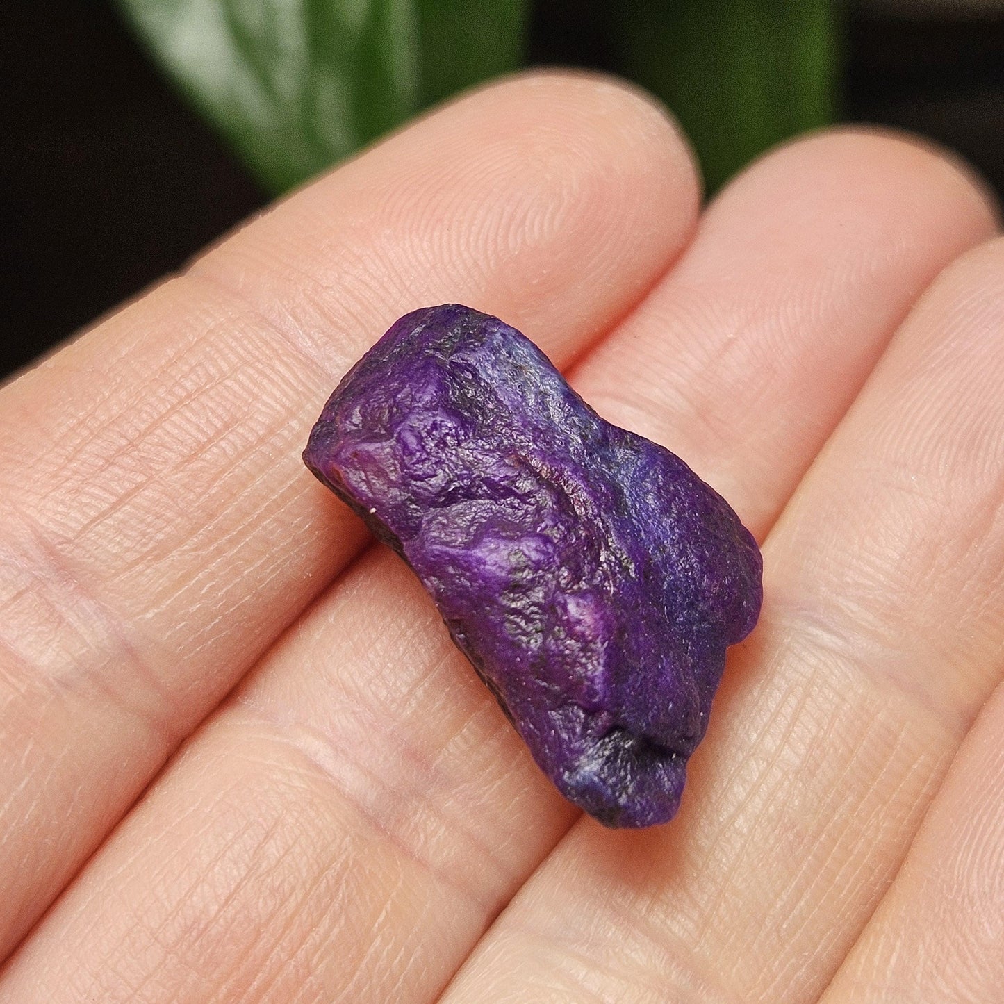 Gel Sugilite & Blue Richterite Crystal 4.93g, South African Raw Sugilite Specimen OLD STOCK