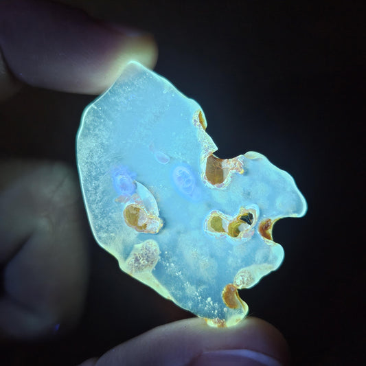 Amber with MOVING Enhydro and Insect Inclusions, 3.5g