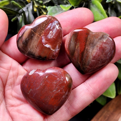 Petrified Wood Fossil Heart Carving, Agatized Wood Crystal Heart