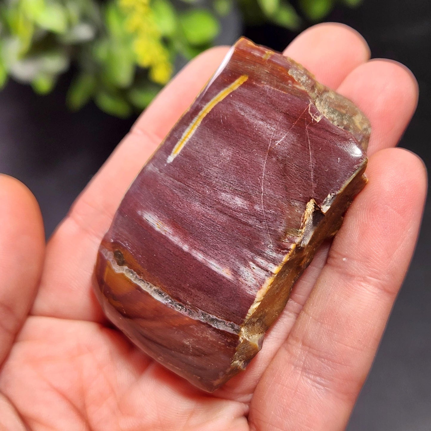 Petrified Wood Crystal, Agatized Wood, Fossilized Wood Specimen