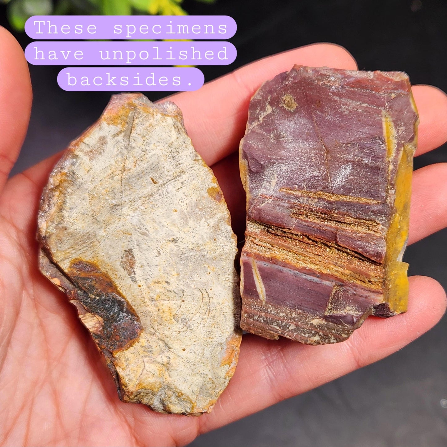 Petrified Wood Crystal, Agatized Wood, Fossilized Wood Specimen