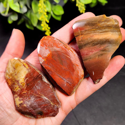 Petrified Wood Crystal, Agatized Wood, Fossilized Wood Specimen