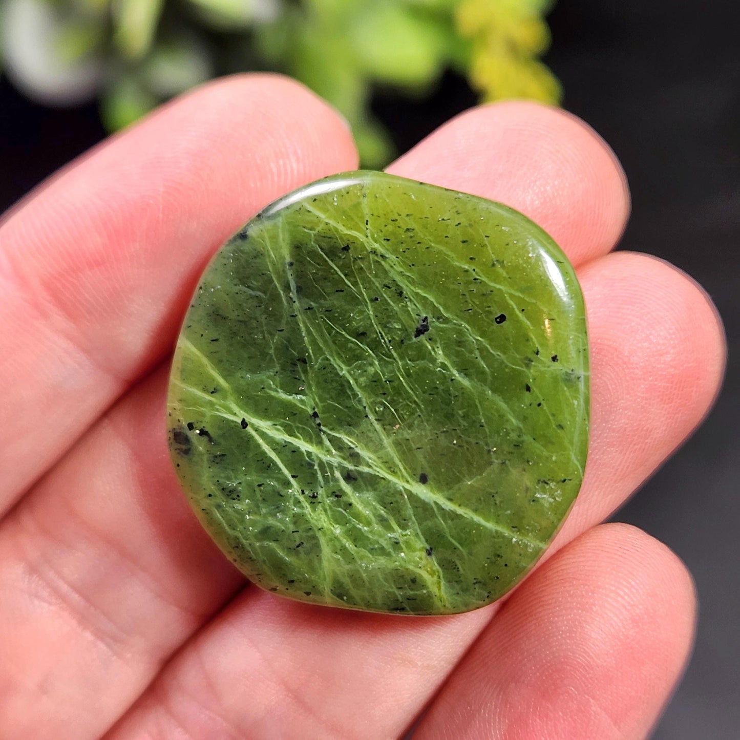 Canadian Green Jade Polished Palm Stone (1"+), Tumbled Jade Crystal Specimen