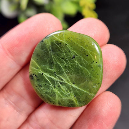 Canadian Green Jade Polished Palm Stone (1"+), Tumbled Jade Crystal Specimen