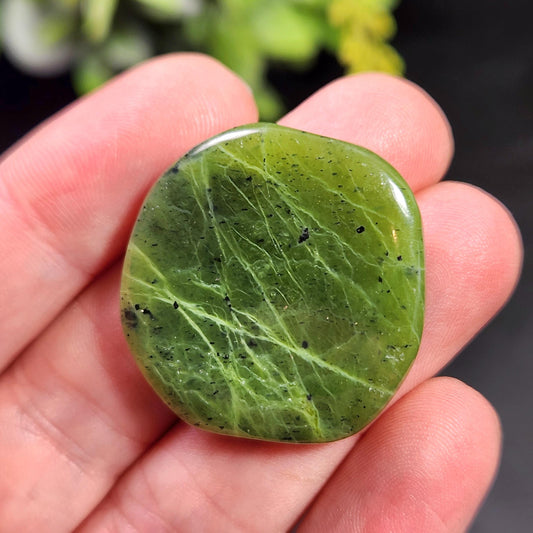 Canadian Green Jade Polished Palm Stone (1"+), Tumbled Jade Crystal Specimen
