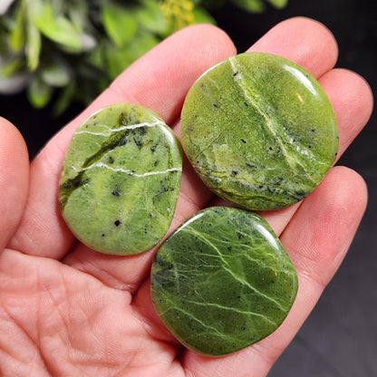 Canadian Green Jade Polished Palm Stone (1"+), Tumbled Jade Crystal Specimen