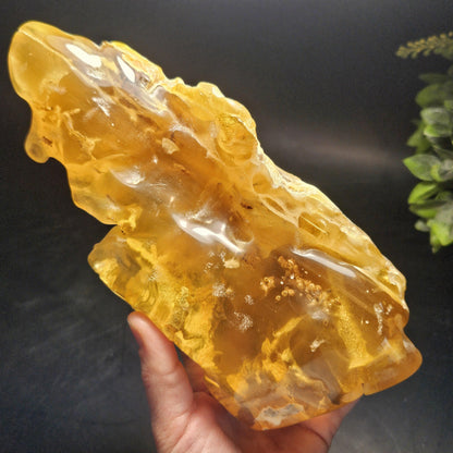 HUGE Amber with Moving Enhydro Bubble & Insect Inclusions 1.17lb