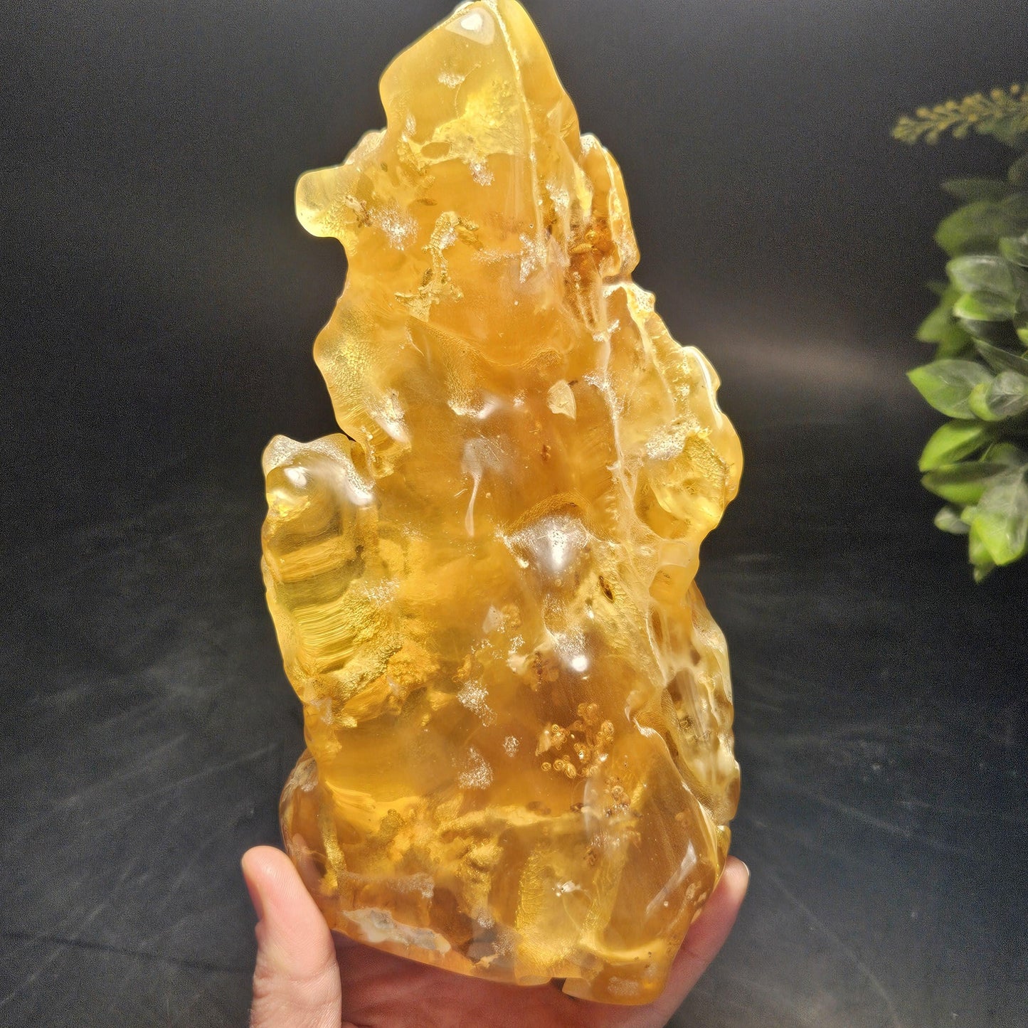 MASSIVE Amber with MOVING Enhydro Bubble & Insect Inclusions, 1.17lb Young Amber Fossil Specimen