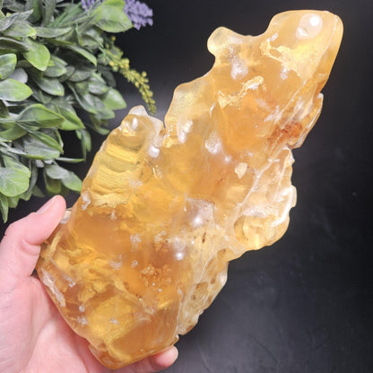 HUGE Amber with Moving Enhydro Bubble & Insect Inclusions 1.17lb