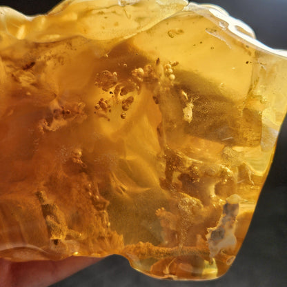 HUGE Amber with Moving Enhydro Bubble & Insect Inclusions 1.17lb