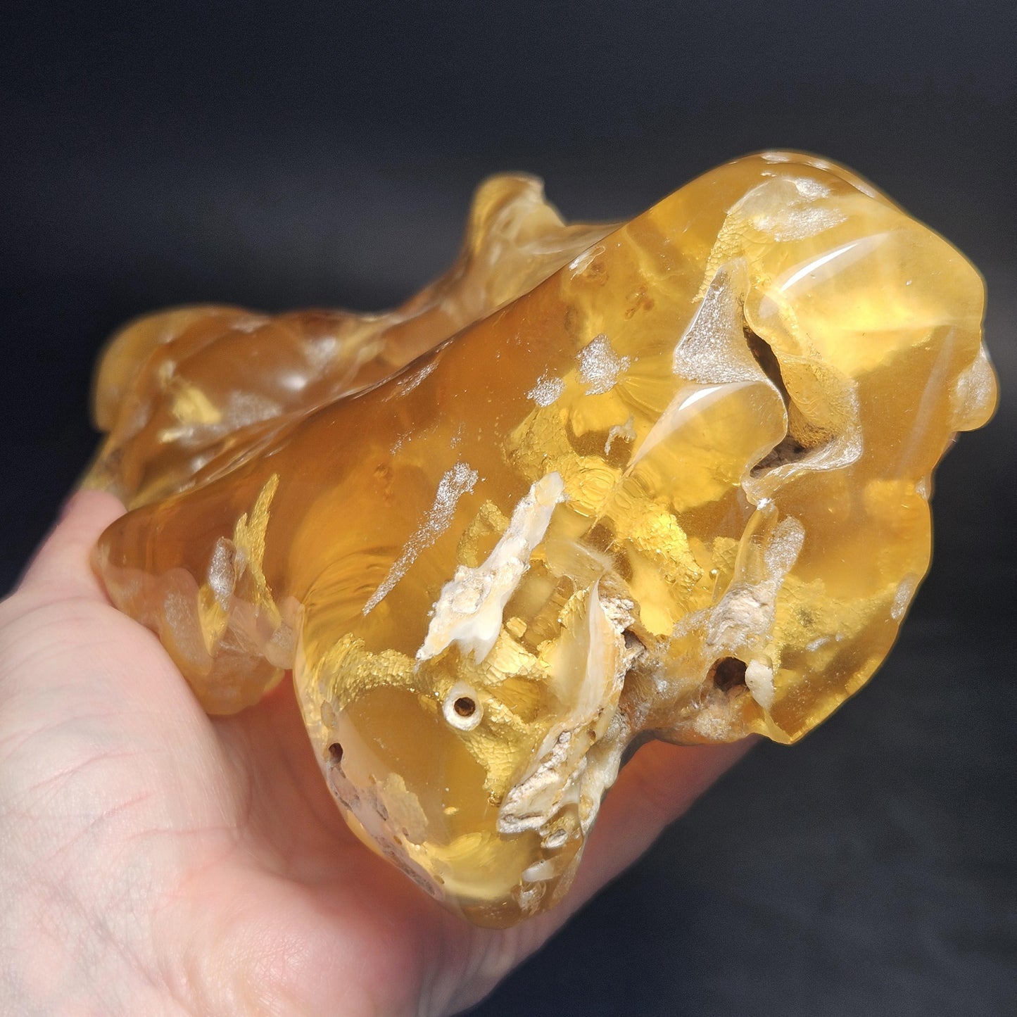 HUGE Amber with Moving Enhydro Bubble & Insect Inclusions 1.17lb