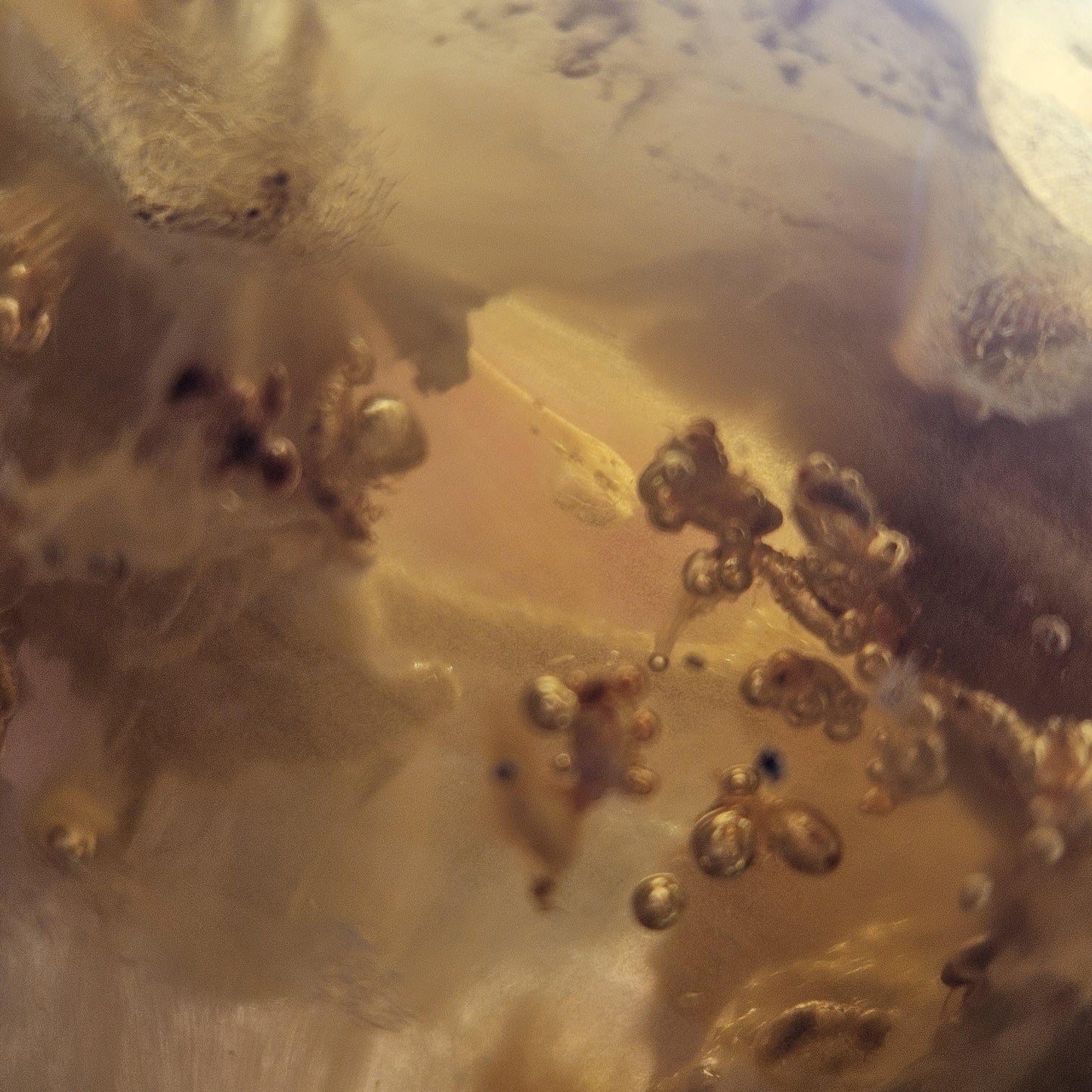 HUGE Amber with Moving Enhydro Bubble & Insect Inclusions 1.17lb