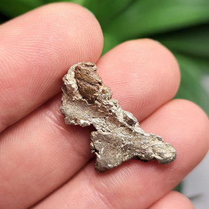 Native Silver Nugget 4.2g, Michigan "Halfbreed" Native Silver & Copper Ore