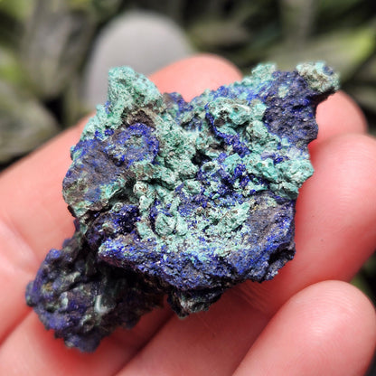 Azurite & Malachite Crystal Cluster, Vibrant Raw Specimen from Anhui, China