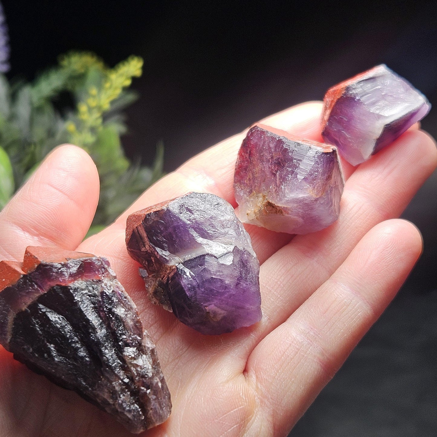 Alien Amethyst Crystal 10