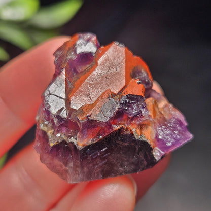 Alien Amethyst Crystal 10