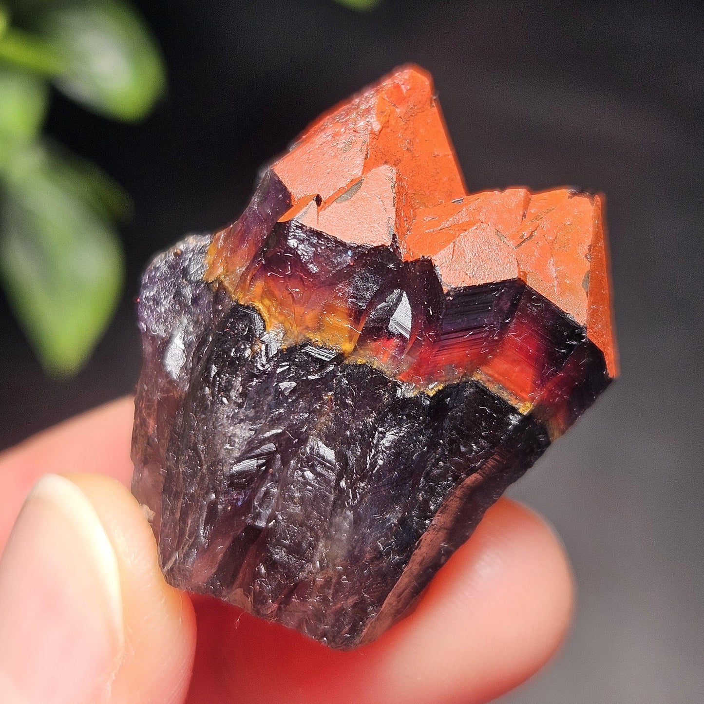 Alien Amethyst Crystal 10