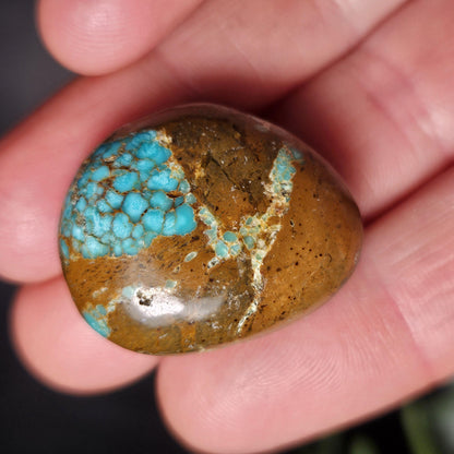 No. 8 Turquoise Tumbled Stone, Nevada Natural Turquoise Crystal