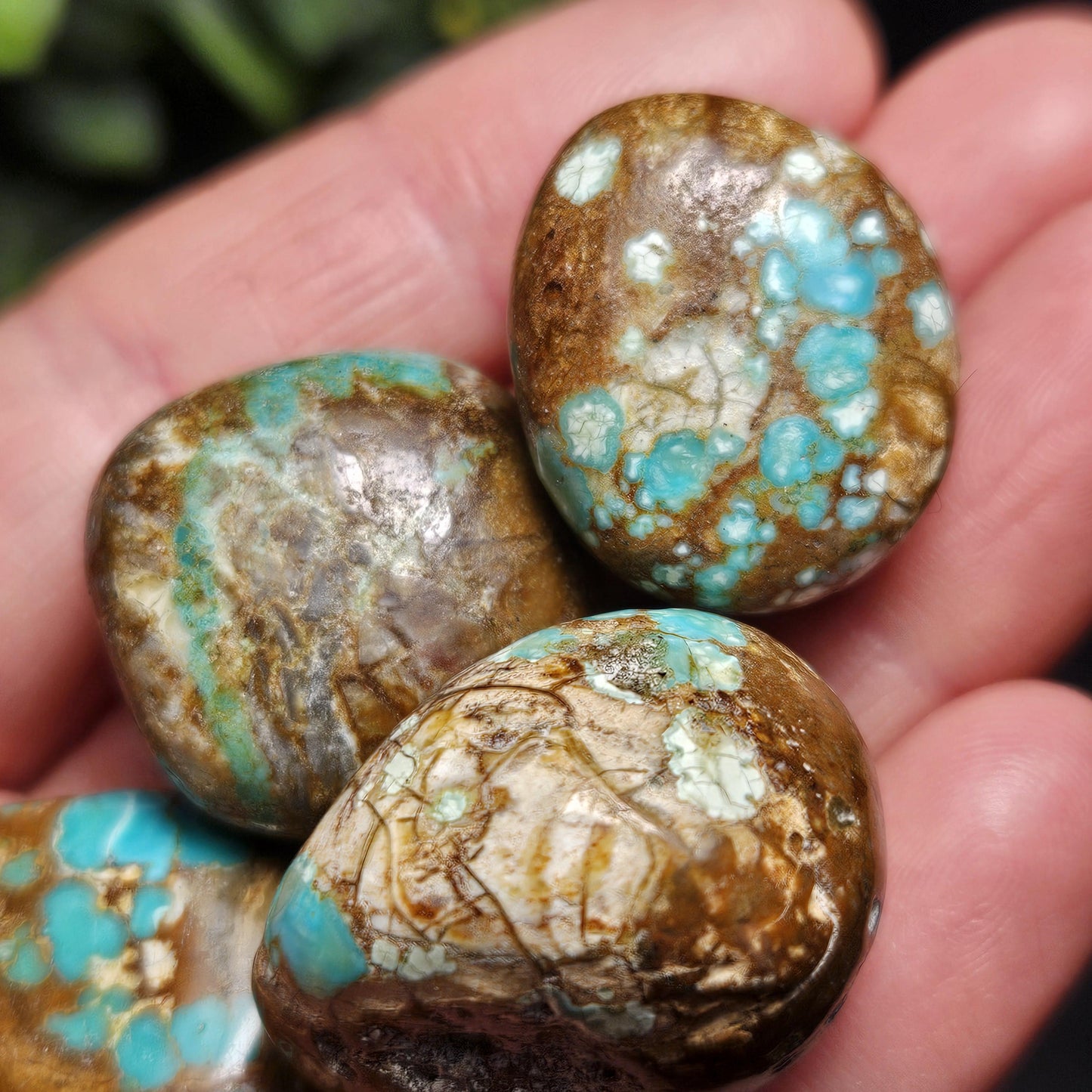No. 8 Turquoise Tumbled Stone, Nevada Natural Turquoise Crystal