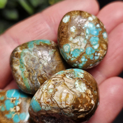 No. 8 Turquoise Tumbled Stone, Nevada Natural Turquoise Crystal