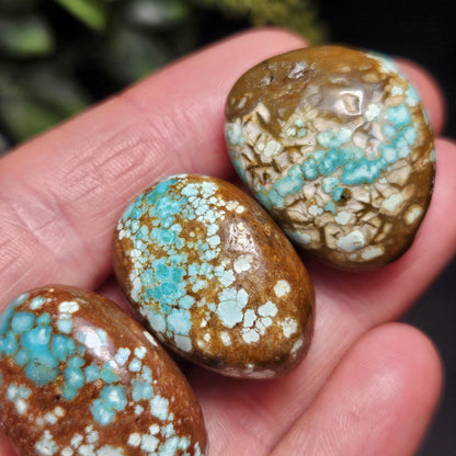 No. 8 Turquoise Tumbled Stone, Nevada Natural Turquoise Crystal