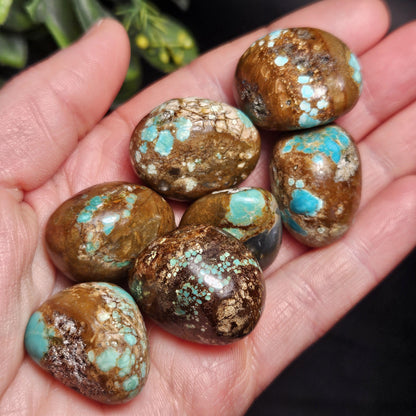 No. 8 Turquoise Tumbled Stone, Nevada Natural Turquoise Crystal
