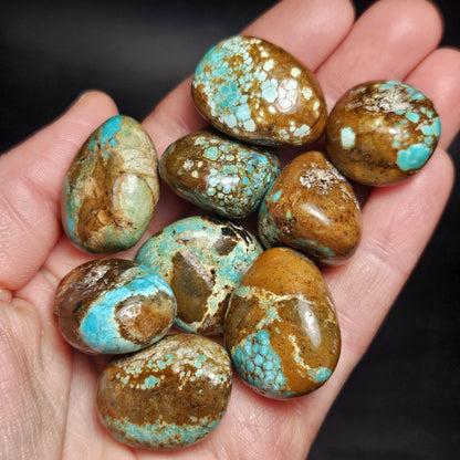 No. 8 Turquoise Tumbled Stone, Nevada Natural Turquoise Crystal