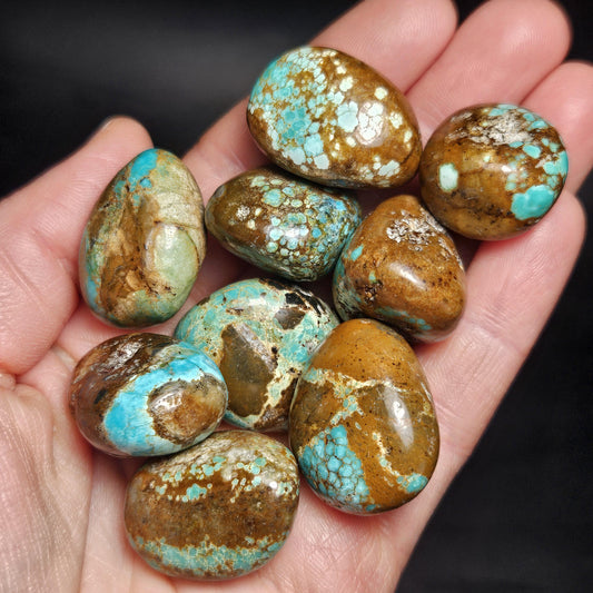 No. 8 Turquoise Tumbled Stone, Nevada Natural Turquoise Crystal