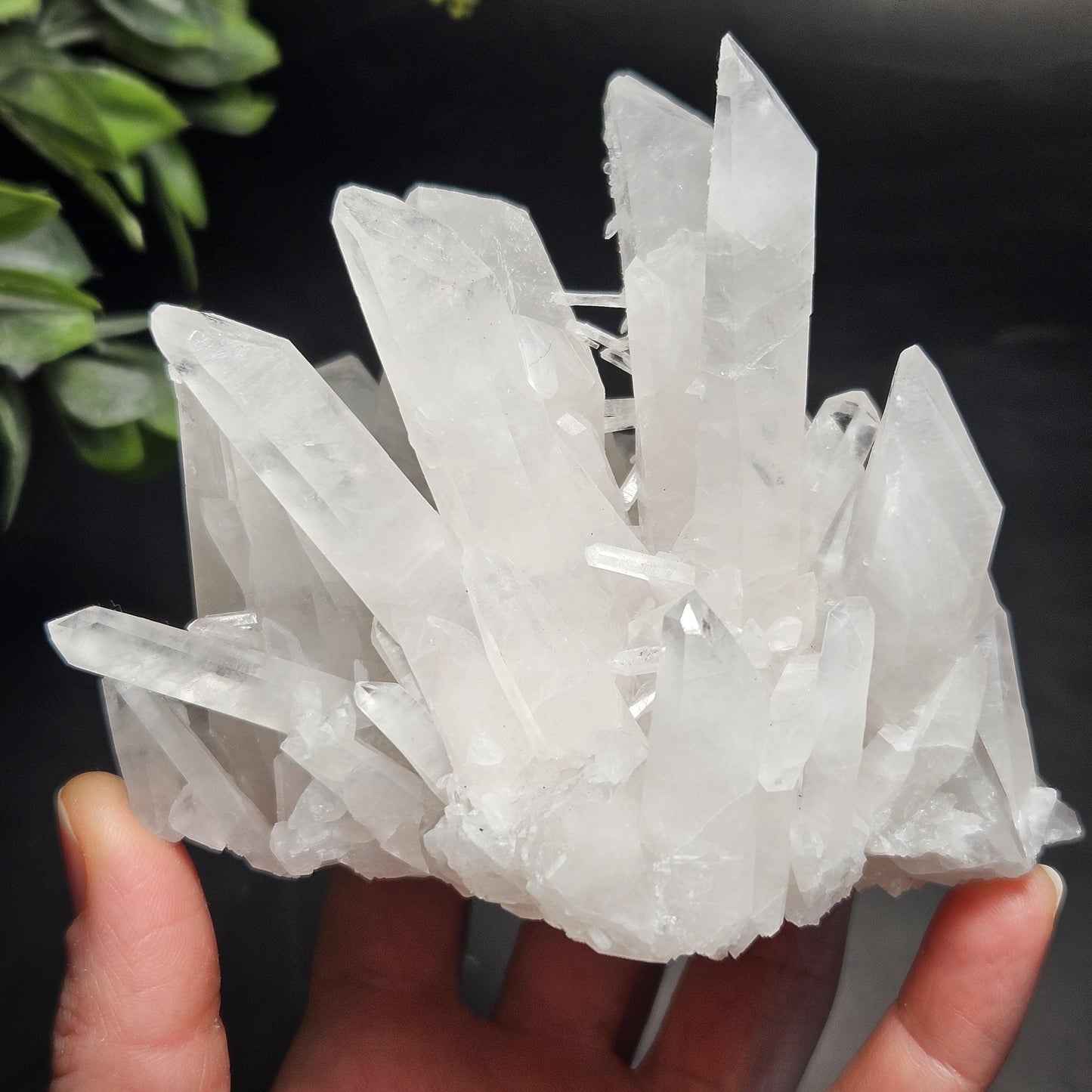 Arkansas Quartz Crystal Cluster 467g, Spiky Self