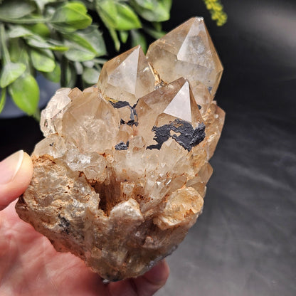 Kundalini Quartz, Natural Congo Citrine Cluster 499g, Smoky Citrine