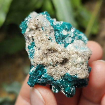 Dioptase Crystal Specimen 44.9g, Raw Green Dioptase from Congo