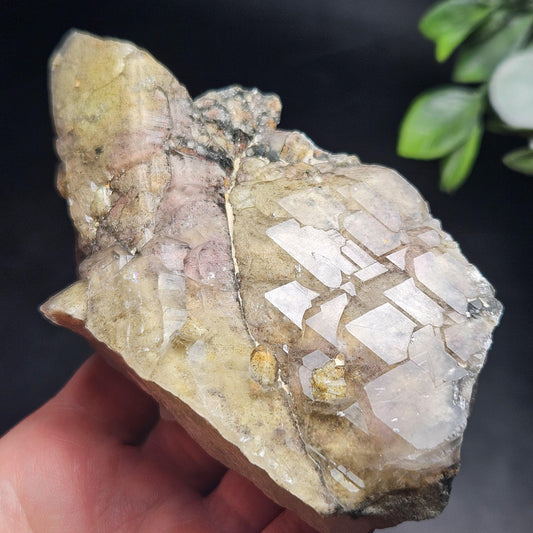 ELESTIAL Garden Quartz Crystal Cluster 295g, Brazilian Scenic Lodolite Specimen