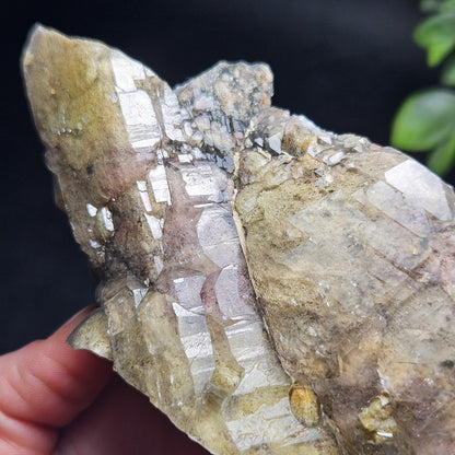 ELESTIAL Garden Quartz Crystal Cluster 295g, Brazilian Scenic Lodolite Specimen