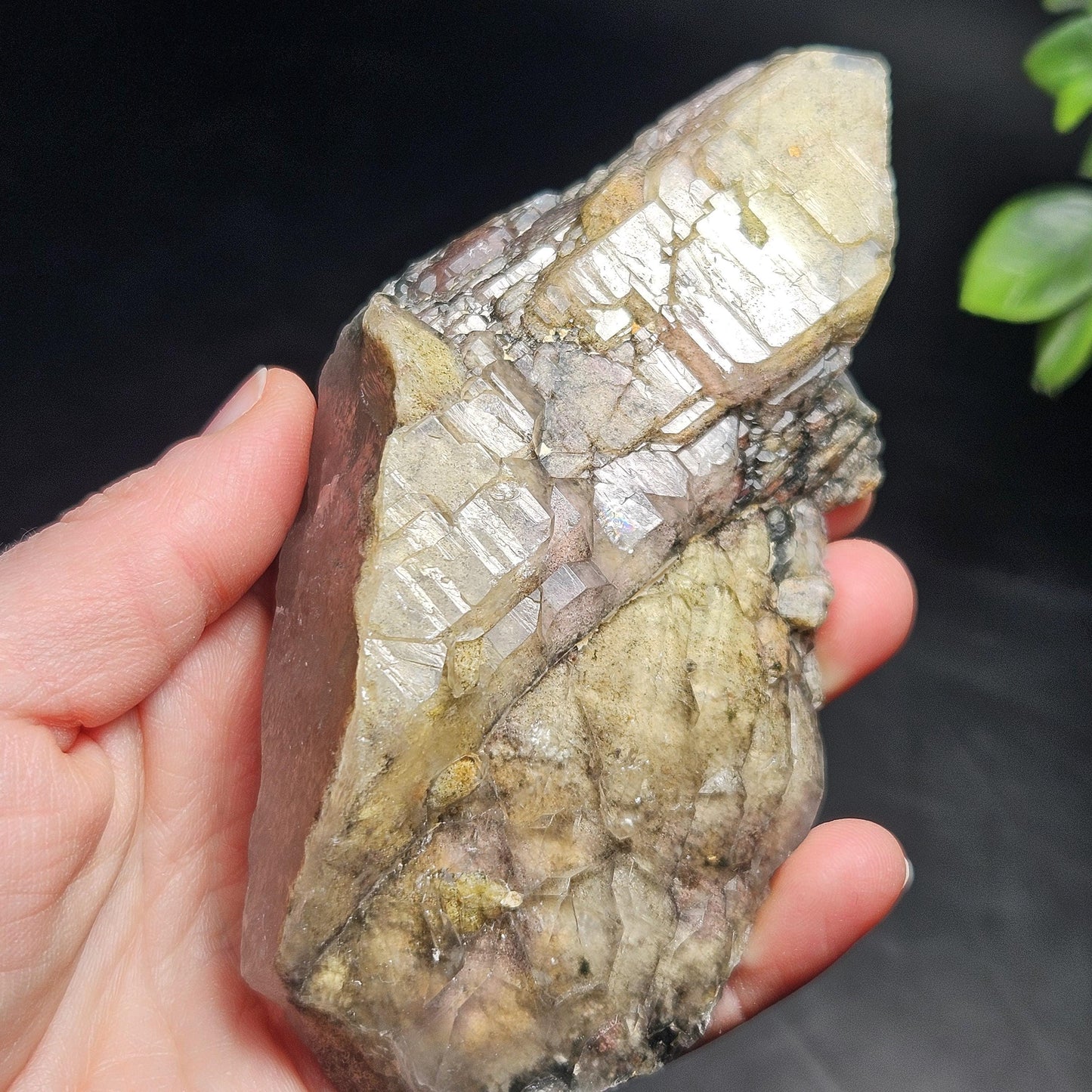 ELESTIAL Garden Quartz Crystal Cluster 295g, Brazilian Scenic Lodolite Specimen