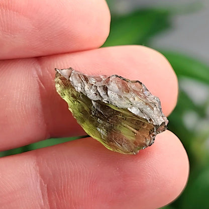 Moldavite Poison Green Specimen 1.33g, Authentic Raw Moldavite Crystal from Vrabce