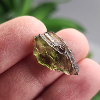 Moldavite Poison Green Specimen 1.33g, Authentic Raw Moldavite Crystal from Vrabce