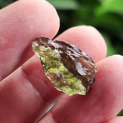 Moldavite Poison Green Specimen 1.33g, Authentic Raw Moldavite Crystal from Vrabce