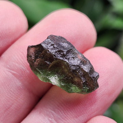 Poison Green Moldavite Crystal 2.02g: Authentic Raw Moldavite Specimen